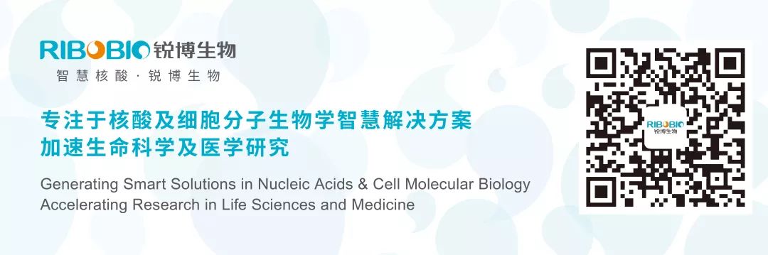 美國科學(xué)院院士Joseph PUGLISI教授重磅加盟CNAF2018-肽度TIMEDOO