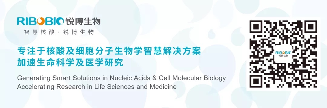 一起來盤點lncRNA最新研究進展(20181218)-肽度TIMEDOO