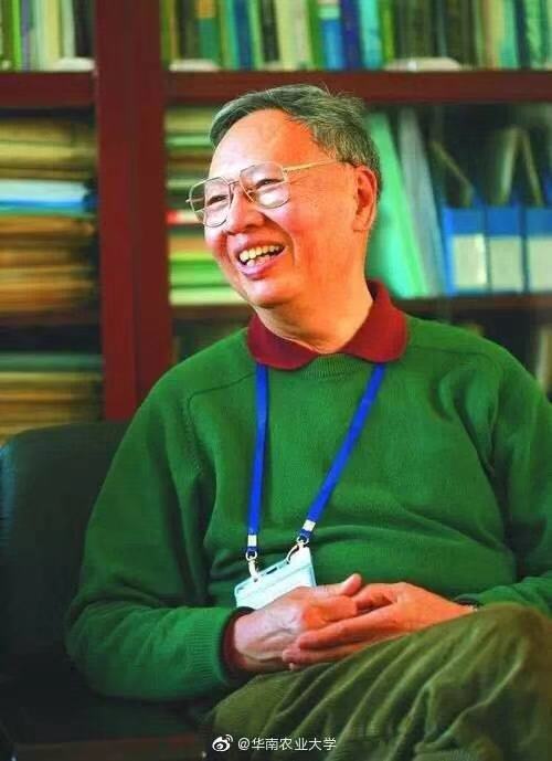 布衣院士盧永根逝世 他保存了華南地區(qū)最大的野生水稻基因庫-肽度TIMEDOO