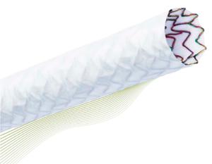 美國蓋倫獎組委會發(fā)布2019“最佳醫(yī)療技術(shù)獎”提名-肽度TIMEDOO
