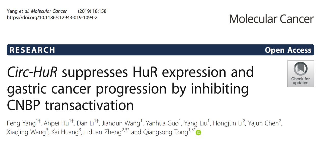 童強(qiáng)松和鄭麗端教授連發(fā)兩篇10分circRNA研究論文-肽度TIMEDOO