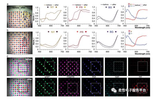 美國Tufts University:基于大面積高精度的生物傳感進行生物分子的局域化檢測-肽度TIMEDOO