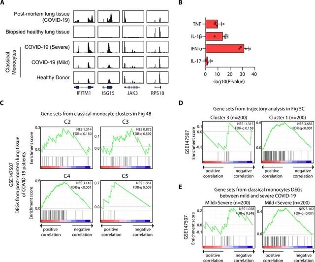 Science子刊新發(fā)現:IFN-1有望成為治療重癥新冠肺炎的靶點新星-肽度TIMEDOO