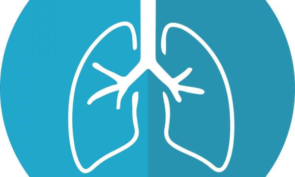美國費(fèi)城兒童醫(yī)院: 刺激肺組織修復(fù)的新靶點(diǎn)-肽度TIMEDOO