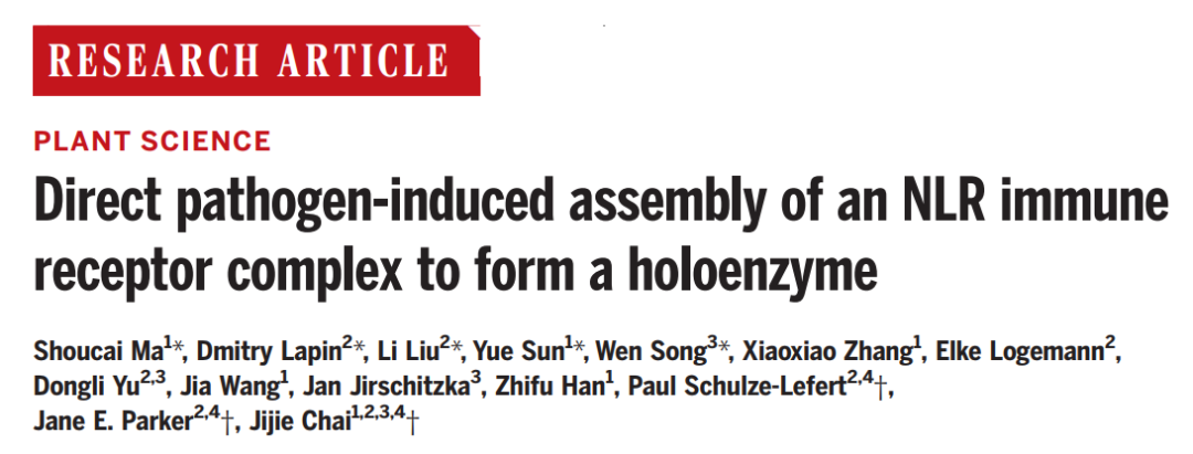 科研成果 | 清華大學(xué)柴繼杰課題組與合作者首次揭示植物TNL類抗病蛋白激活的分子機(jī)制-肽度TIMEDOO