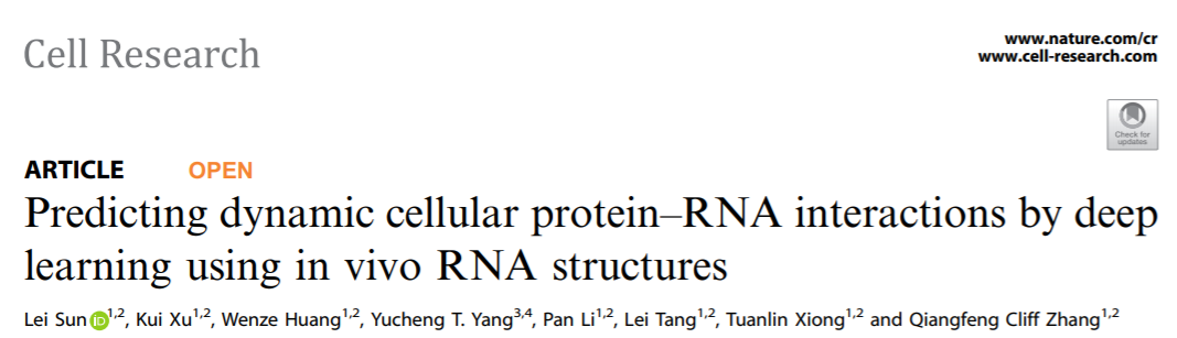 科研成果 | 張強鋒課題組開發(fā)基于細胞內(nèi)RNA結(jié)構(gòu)預測蛋白質(zhì)-RNA動態(tài)相互作用的人工智能方法-肽度TIMEDOO