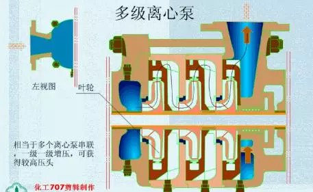 華大研究院攜手得克薩斯大學(xué)西南醫(yī)學(xué)中心,單細(xì)胞水平解析豬與靈長(zhǎng)類(lèi)動(dòng)物胚胎發(fā)育差異-肽度TIMEDOO