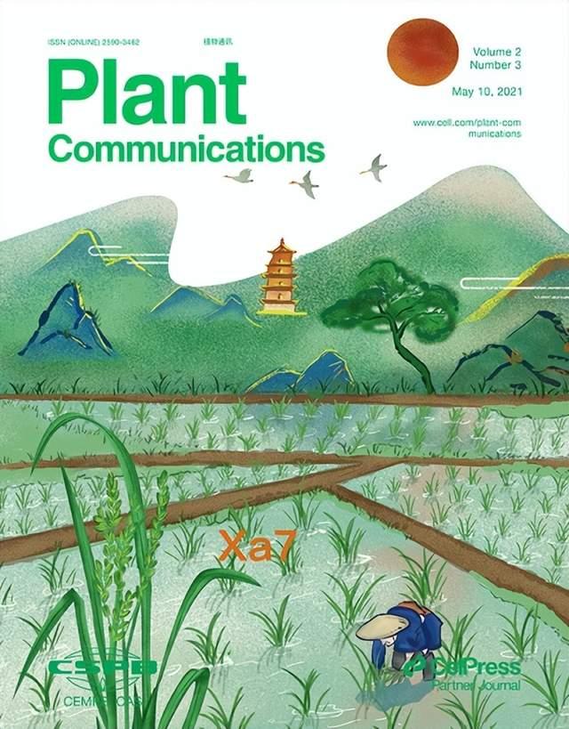 中國科研團隊主辦植物科學研究類期刊躍居全球第一-肽度TIMEDOO