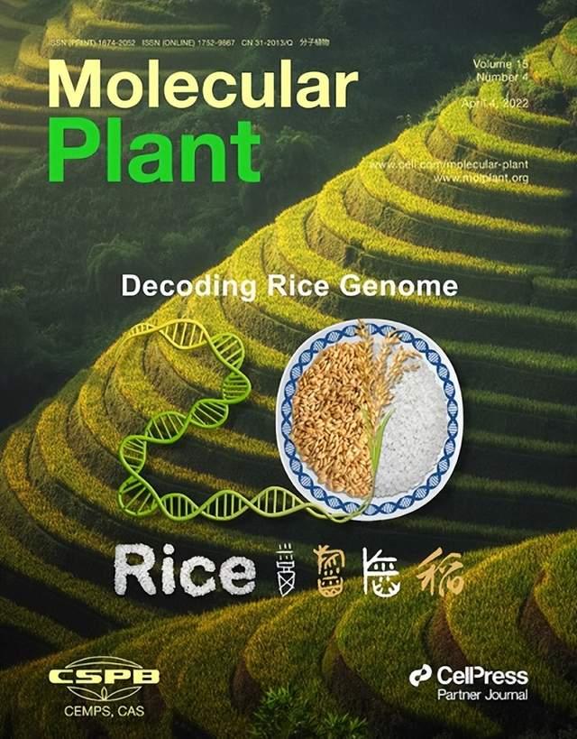 中國科研團隊主辦植物科學研究類期刊躍居全球第一-肽度TIMEDOO