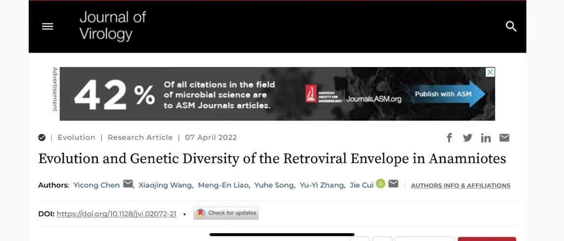 中國(guó)科學(xué)院上海巴斯德研究所崔杰課題組揭示逆轉(zhuǎn)錄病毒包膜蛋白的進(jìn)化歷程和遺傳多樣性-肽度TIMEDOO
