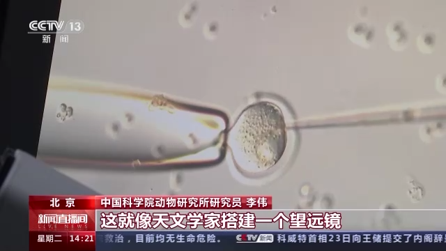 科技強(qiáng)國(guó)在路上丨守護(hù)生命健康 這些生物醫(yī)學(xué)領(lǐng)域有了新進(jìn)展-肽度TIMEDOO