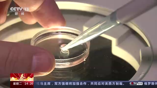 科技強(qiáng)國(guó)在路上丨守護(hù)生命健康 這些生物醫(yī)學(xué)領(lǐng)域有了新進(jìn)展-肽度TIMEDOO