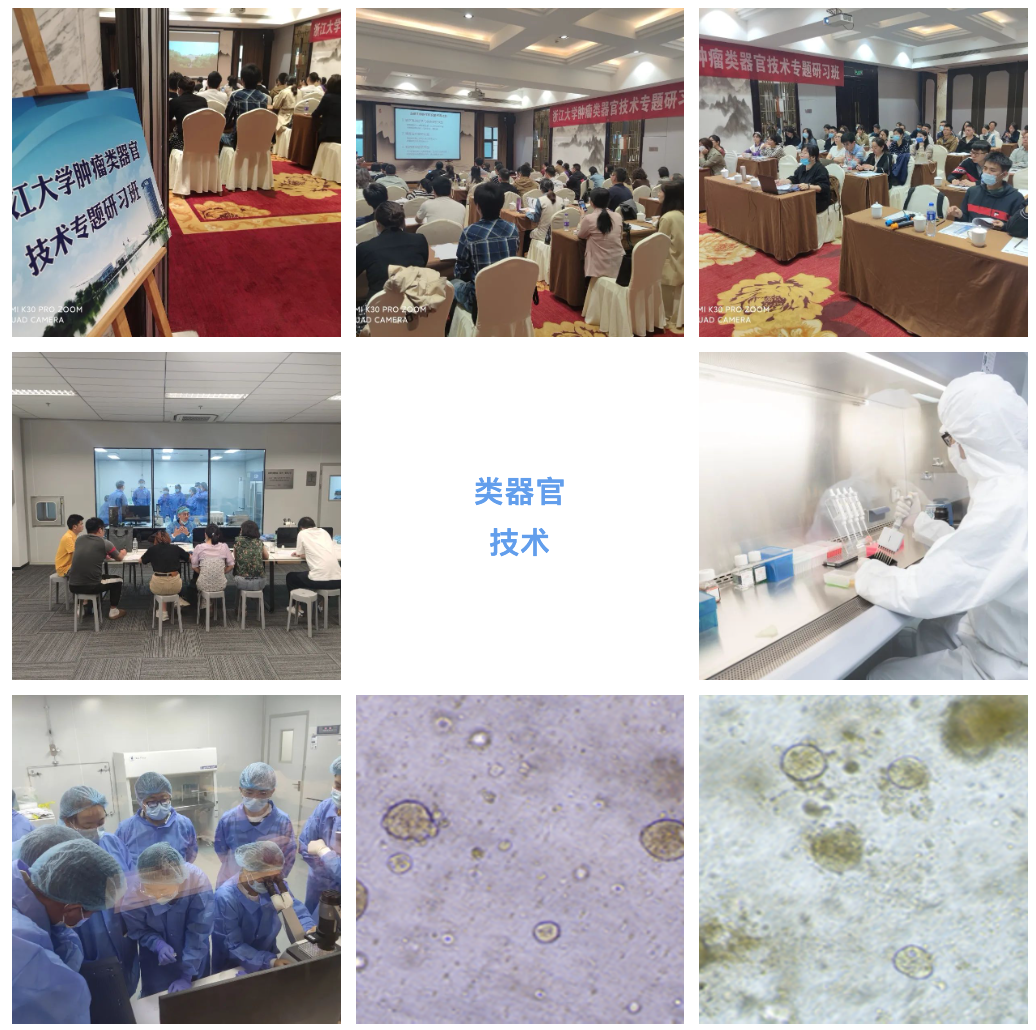 2023年3月30日-4月2日|浙江大學第4期腫瘤類器官專題研習班(名額有限)-肽度TIMEDOO