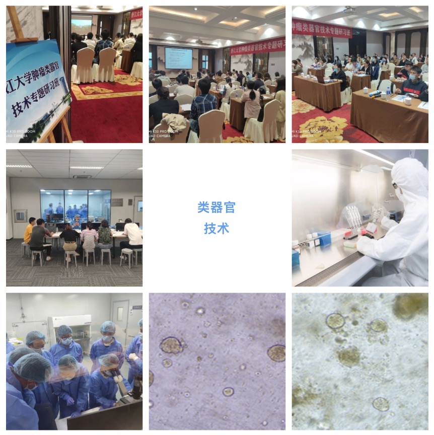 2023年6月8-11日|浙江大學第5期腫瘤類器官專題研習班(名額有限)-肽度TIMEDOO