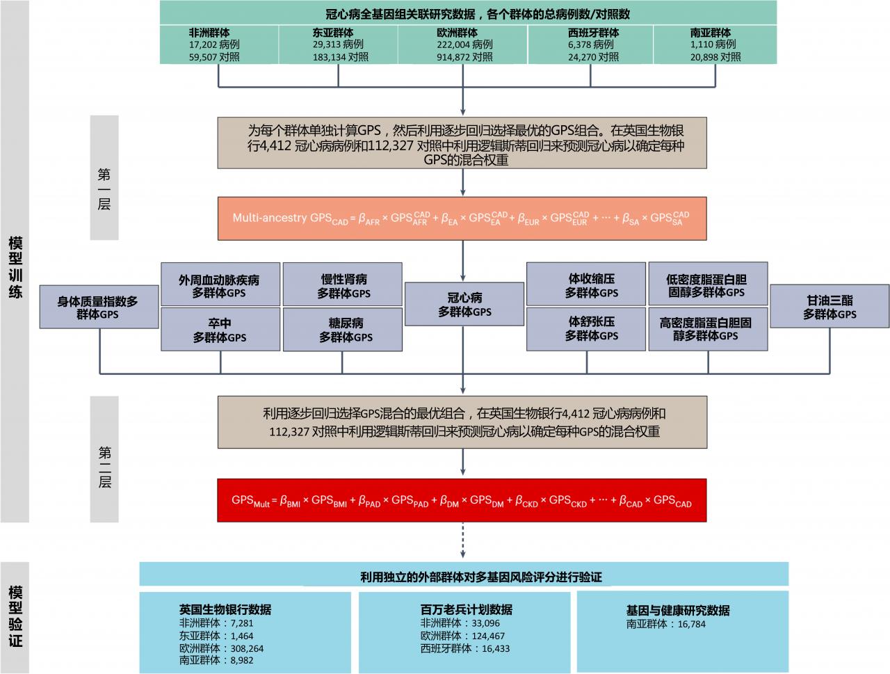 中美科學(xué)家合作開(kāi)發(fā)預(yù)測(cè)冠心病患病風(fēng)險(xiǎn)模型-肽度TIMEDOO