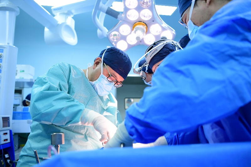 新研究揭示胰腺癌免疫抑制微環(huán)境形成機(jī)制-肽度TIMEDOO