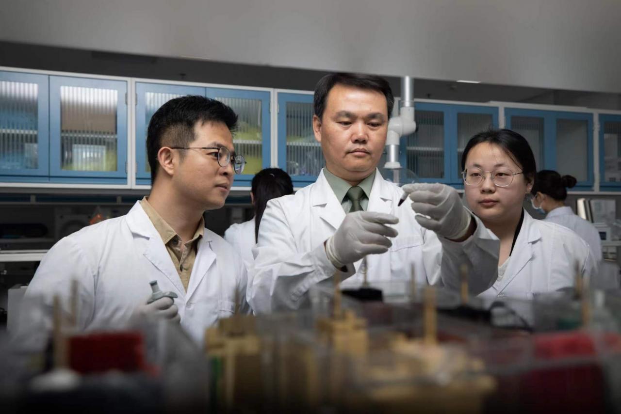 我國科學家揭示無血管軟骨組織缺氧耐受新機制-肽度TIMEDOO