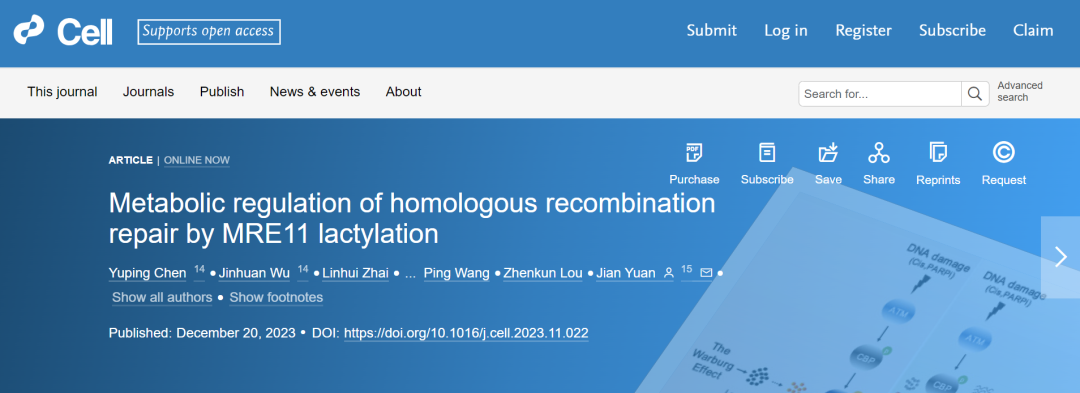 同濟(jì)大學(xué)科學(xué)家找出腫瘤細(xì)胞“幫兇” 為克服腫瘤耐藥提供潛在靶點(diǎn)和策略-肽度TIMEDOO