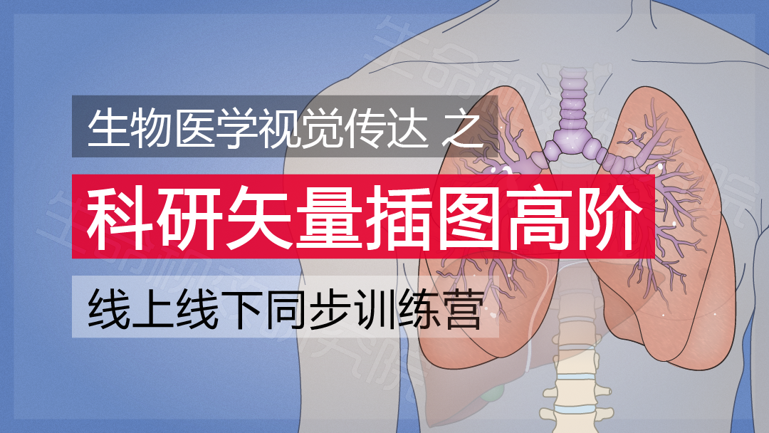 2024年3月16-17日·廣州·“科研矢量插圖”高階訓練營通知!-肽度TIMEDOO