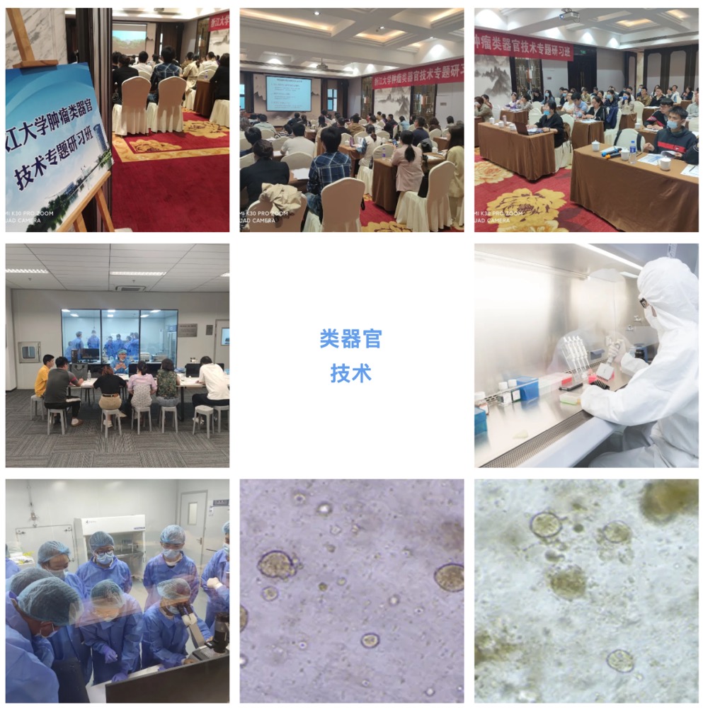 2024年7月18-21日·浙江大學(xué)第8期類器官技術(shù)專題研習(xí)班-肽度TIMEDOO