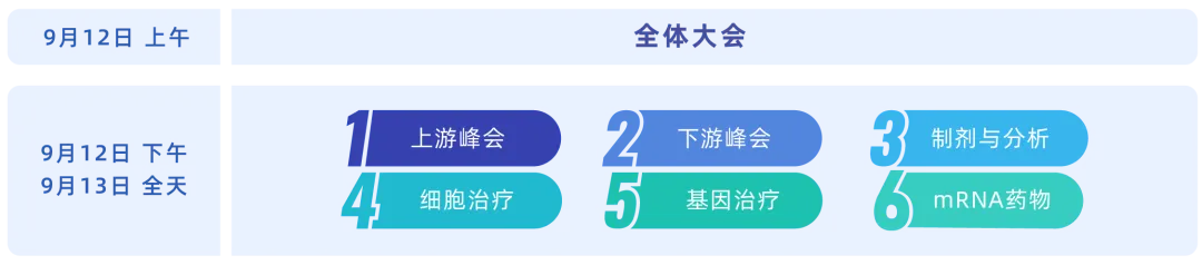 BioCMC2024第八屆百世生物藥CMC技術(shù)創(chuàng)新大會(huì)-肽度TIMEDOO