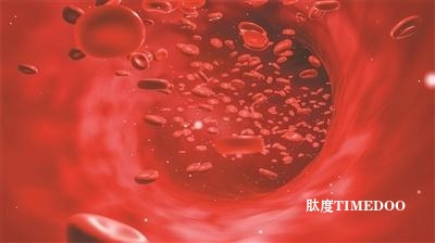 浙大研究團隊定義細(xì)胞偶聯(lián)藥物-肽度TIMEDOO