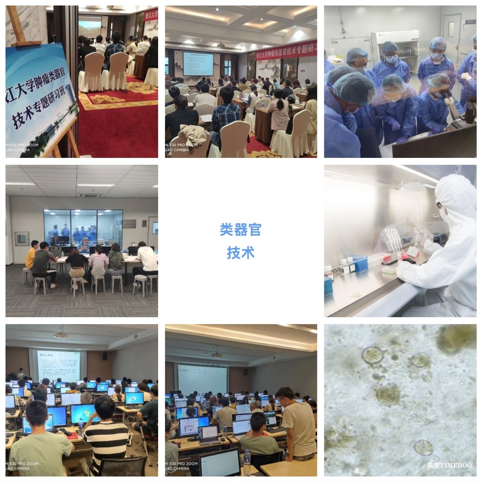 2024年11月12-16日·浙江大學(xué)第8期“類器官課題設(shè)計+組學(xué)” 專題研習(xí)班-肽度TIMEDOO