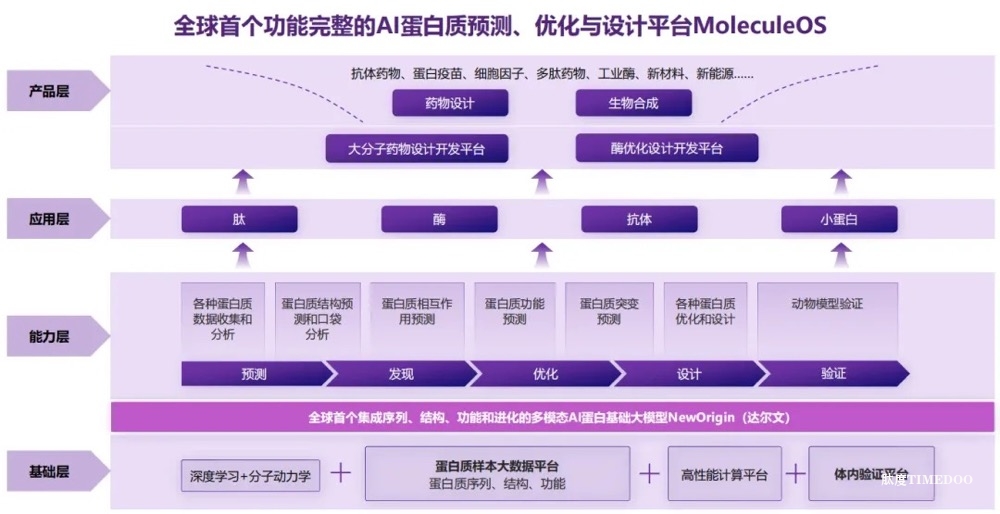 分子之心獲數(shù)億A輪融資,世界級AI蛋白技術加速生物領域新基建-肽度TIMEDOO