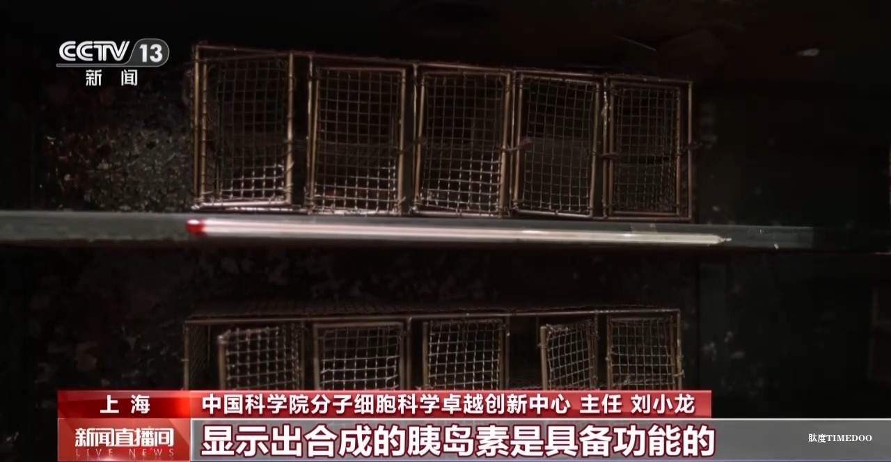 敢“啃”硬骨頭 他帶領(lǐng)團(tuán)隊(duì)合成了牛胰島素-肽度TIMEDOO