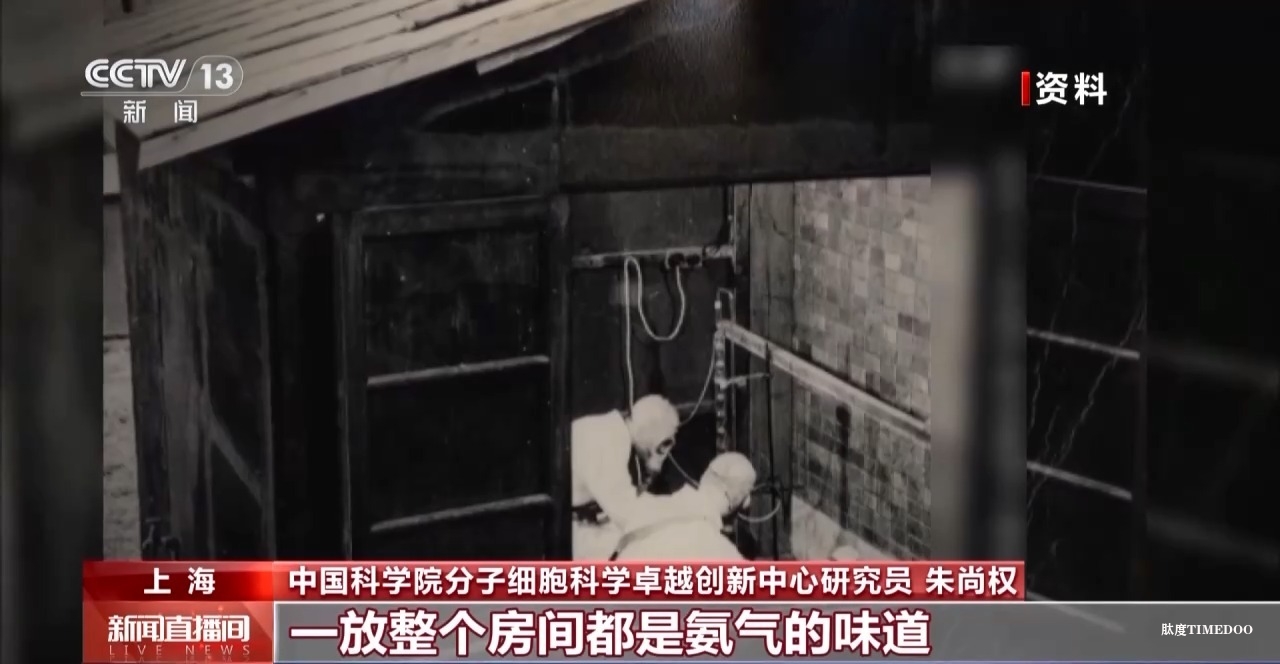 敢“啃”硬骨頭 他帶領(lǐng)團(tuán)隊(duì)合成了牛胰島素-肽度TIMEDOO