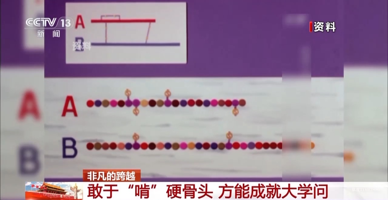 敢“啃”硬骨頭 他帶領(lǐng)團(tuán)隊(duì)合成了牛胰島素-肽度TIMEDOO