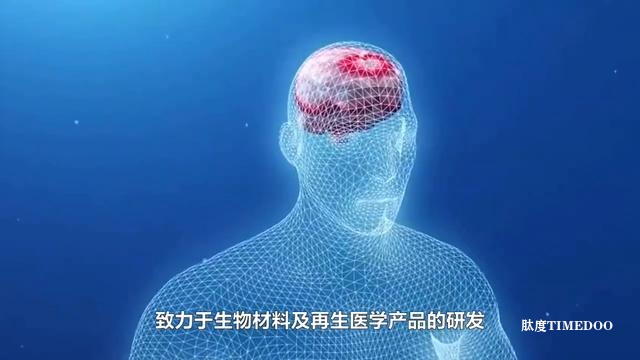 中國腦機接口領(lǐng)域11大領(lǐng)軍企業(yè)-肽度TIMEDOO