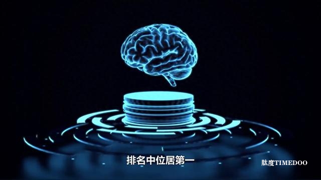 中國腦機接口領(lǐng)域11大領(lǐng)軍企業(yè)-肽度TIMEDOO