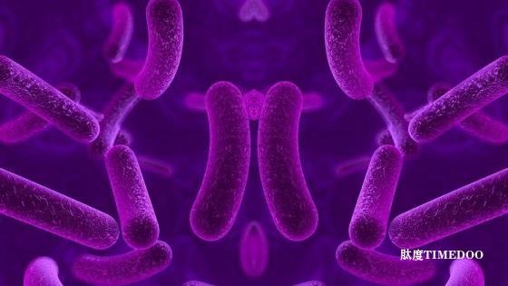頂級(jí)科學(xué)家呼吁禁止創(chuàng)造鏡像細(xì)菌-肽度TIMEDOO