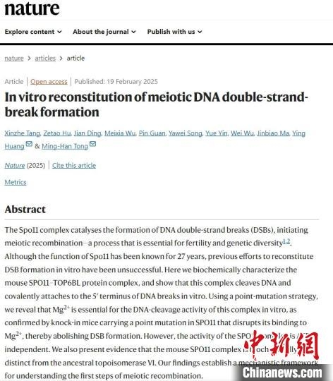 我國(guó)學(xué)者最新研究為生殖醫(yī)學(xué)與遺傳疾病研究開辟新路徑-肽度TIMEDOO