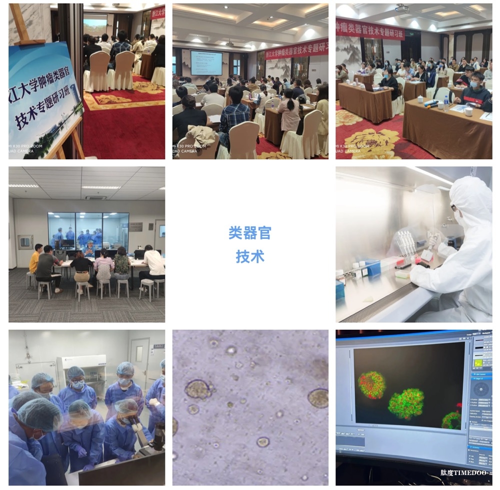 浙江大學(xué)培訓(xùn)班|2025年6月19日-22日類器官藥物篩選及全景3D成像技術(shù)應(yīng)用研習(xí)班-肽度TIMEDOO