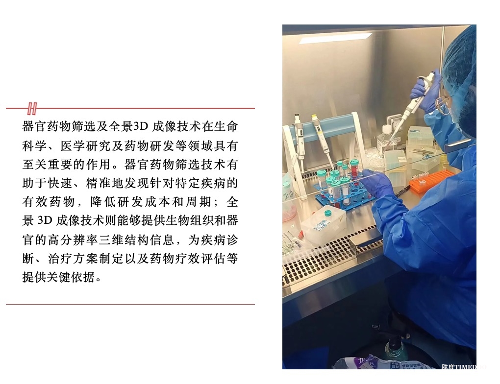 浙江大學(xué)培訓(xùn)班|2025年6月19日-22日類器官藥物篩選及全景3D成像技術(shù)應(yīng)用研習(xí)班-肽度TIMEDOO
